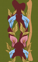 Calla Lily