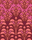 Desert Rose