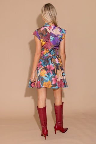 Scotty Dress