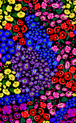 Petal Party