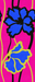 Punch Orchid