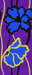 Violet Orchid